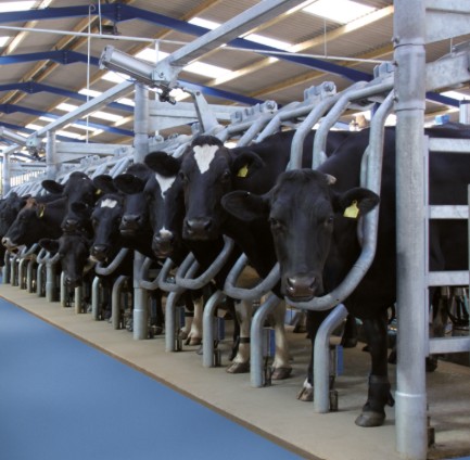 Oprema za hleve in molzna tehnika