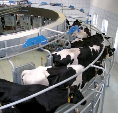 PetRa Molzna Tehnika