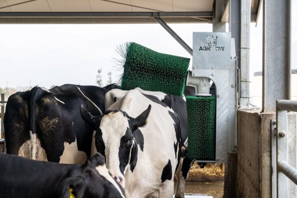 Električne krtače PetRa