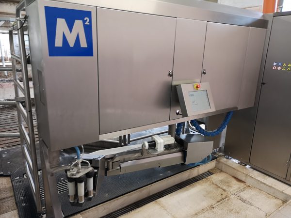 Molzni Robot M2erlin