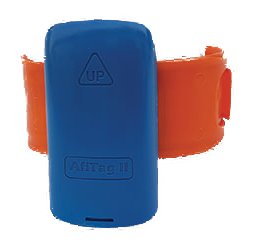 Management črede in svetovanje